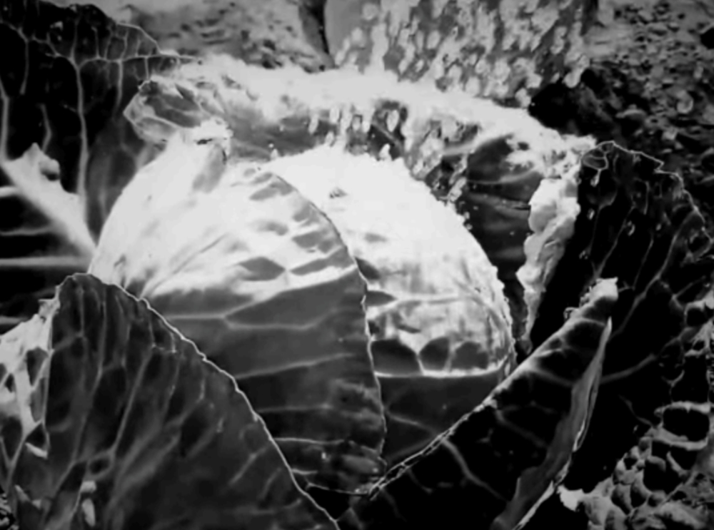 恐怖遊戲《馬》（HORES）被Steam平台禁售