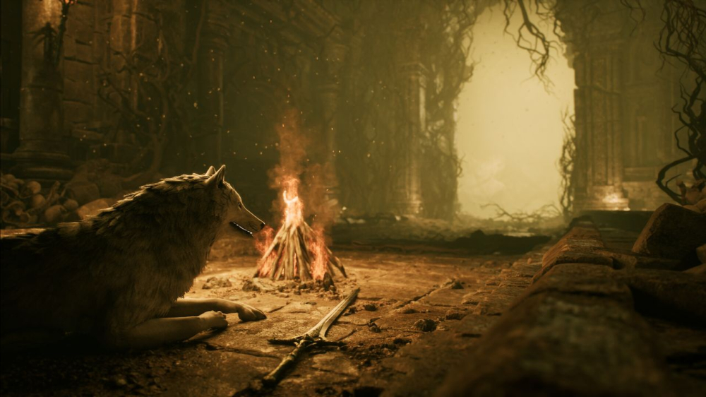 “Bark Souls”来了！当狗也能当薪王