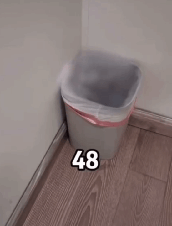 管泽元怒怼LPL？曝其主动停职引热议